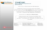 Déterminants de la bioaccessibilité des caroténoïdes et …horizon.documentation.ird.fr/exl-doc/pleins_textes/... · 2017-01-04 · ii Remerciements . En premier lieu, j’aimerais