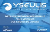 DATA-VISUALISATION UNIVERSELLE · 2020-02-18 · DATA-VISUALISATION UNIVERSELLE. POUR MAÎTRISER . VOS RISQUES DE CHANGE. Technologie. soutenue par. Solution . développée par