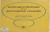 Neuropsychologie de la perception NEUROPSYCHOLOGIE DE LA PERCEPTION VISUELLE SOUS LA DIRECTION DE HENRY