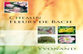 Chemin Fleurs de Bach · 2018-07-04 · Les 38 fleurs qui composent les Fleurs de Bach poussent naturellement dans notre environne - ment. Certaines sont cultivées et agrémentent