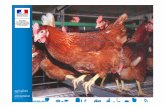 Journée d’échange et de - Site officiel du service …draaf.bretagne.agriculture.gouv.fr/IMG/pdf/06_Power...Décret n 2015-1031 du 19 août 2015 relatif aux conditions d’utilisation