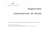 Agenda Obstacle & Plat - France Galop · 2018-02-12 · Boulogne, 11 h 30 P 3686 † Artagnan P 3687 † Gascogne Hyères, 25 février 2018 Boulogne, 11 h 30 P 3776 † Crau P 3777