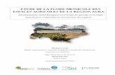 ETUDE DE LA FLORE MESSICOLE DES ESPACES AGRICOLES DE … · 2019-05-13 · Daprès une étude menée par Fried et ses collaborateurs (2009), la richesse spécifique et la densité
