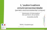 L’autorisation environnementale€¦ · Mission Développement Durable et Évaluation Environnementale BP54 Saint Phy 97102 BASSE-TERRE cedex. 24/46 Cadrage préalable de l’étude