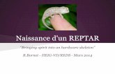 Naissance d'un REPTAR - REDSreds.heig-vd.ch/share/cours/CSE/REPTAR_embedded_SW.pdf · OpenEmbedded et dérivés - bitbake Yocto, oe-core, poky, Ångström, arago Buildroot / OpenWRT-