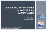 LES ESPÈCES MARINES INVASIVES EN MARTINIQUE · Porteur : Comité Régional des pêches maritimes et des élevages marins de Guadeloupe Principaux objectifs : - Prévention et sécurité