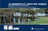LES MANGROVES DE L’OUTRE-MER FRANÇAIScoralliens et des écosystèmes associés présents dans 10 des collectivités de l’outre-mer français, réparties dans 3 océans de la planète