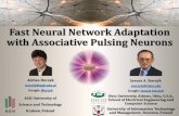 Fast Neural Network Adaptation with Associative Pulsing ...home.agh.edu.pl/~horzyk/presentation/IEEE SSCI2017... · PDF file Associative Pulsing Neurons Implement plastic mechanisms