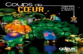 Coups de cœur Culture Agenda Sport 2016 - Coeur Essonne · 2016-09-21 · une Kinect*. À découvrir en différentes versions (LSF, audio-description, etc.). *périphérique permettant