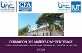 LES FORMATIONS - univ-nc.nclea.univ-nc.nc/ressources/actualites/Reunion_info_des_MA... · 2018-03-27 · LES LICENCES PROFESSIONNELLES RC & CG Une formation spécialisée pour un