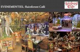Présentation Rainforest Caférainforestcafe.fr/.../Presentation-Rainforest-Cafe.pdf · LES HORAIRES D’OUVERTURE • Du Lundi au Dimanche: 11h30 à 23h00 (minuit le samedi) SERVICE