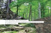 Les forêts anciennes : un patrimoine naturel et …...En 2015, ils ont étudié plus précisément l’évolution dans le temps de leurs paysages forestiers et se sont ainsi penchés