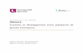 Mémoire Entretien et développement d’une plateforme de gestion d…lipari/cs/iagl/memoires/... · 2019-06-27 · Master IAGL 2018-2019 - Université de Lille R e m e r c i e m