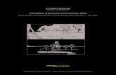 COMPASSION - images- · PDF file COMPASSION C onception 2 ENTRETIEN CONCEPTION Cecilie Maurud Barstad, cofondatrice du studio Gilles & Cecilie, interviewée le 27 mars 2020 par Antonin