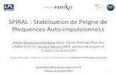 SPIRAL : Stabilisation de PeIgne de fRequences Auto ...first-tf.fr/wp-content/uploads/2017/06/FIRSTTF_AG2017_Spiral_LPL.p… · 5 . Les objectifs visés – Transportabilité ->