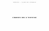 CROTS DE L’YONNE 3 INTRODUCTION Depuis la parution, en 1976, de l'ouvrage Grottes et gouffres de l'Yonne de C. CHABERT et G. MAINGONAT, qui comprend un inventaire détaillé des