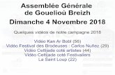 Assemblée Générale de Gouelioù Breizh Dimanche 4 Novembre … · Association GOUELIOU BREIZH Fédération des fêtes et festivals culture bretonne Le Bilan au 30/09/18 2017/2018