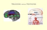 Neurones versus Hormones · « La seule raison d’être d’un être vivant, c’est d’être, c’est-à-dire de maintenir sa structure. - Henri Laborit