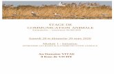 STAGE DE COMMUNICATION ANIMALEcomm-animale.fr/files/STAGE_28_29_MARS_2020_VICHY.pdf · 2020-03-10 · Le module 1 ou stage d'INITIATION est dédié à l'apprentissage de la Communication