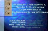 Intoxication d’Apis mellifera au Roundup 3+ , altérations ... · • Méthode de dosage en microplaque adaptée d'Ellman (1961) • 1n = 2 têtes d'abeilles (entre 7 et 12n par