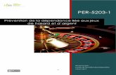 Prévention de la dépendance liée aux jeux de hasard et d’argent - …16.ticfga.ca/files/2017/10/PER-5203_cahier-de-ladulte... · 2019-10-25 · 1 Présentation du cours Le cours
