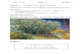 clg-paule-berthelot.eta.ac-guyane.fr · Web viewLilas du jardin de l'hôpital, 1889, huile sur toile,73 x 92 cm (musée de l'Ermitage, Saint-Pétersbourg). Document 2 : « Un Coucher