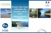 Etudes des Eaux Littorales de Guyane via la DCE · • Campagnes en saison sèche et saison des pluies 10 individus par zone d’étude/date Tailles et poids similaires • Espèces