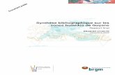 Synthèse bibliographique sur les zones humides de Guyaneinfoterre.brgm.fr/rapports/RP-57709-FR.pdf · DIREN Guyane et le BRGM, une synthèse bibliographique sur les zones humides