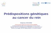 Prédispositions génétiques au cancer du reinsoc-nephrologie.org/PDF/epart/assoc/CJN/2014_lille/07...Cancer du rein ”à cellules rénales” 3% des cancers de l ’’’’adulte