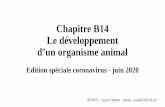 Chapitre B14 Le développement d’un organisme …josephnicolassvt.fr/wp-content/uploads/2020/06/Ch-B14...Seul le développement embryonnaire est au programme. La diversité des organismes