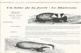 Un hôte de la forêt: Le Blaireau 1992-2-Robi… · Le blaireau, animal robuste, à tête blanche avec deux bandes noires à marges blanches dispose de membres antérieurs armés