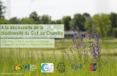 A la découverte de la biodiversité du Golf de Chantilly · «En l’espacede 40 ans, la France a retourné 4 millions d’hectaresde prairies permanentes » J.-L. Peyraud –Inra