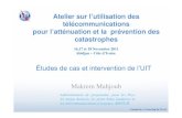 16,17 et 18 Novembre 2011 Abidjan – Côte d’Ivoire · 2012-11-16 · Administrateur de programme, pour les Pays les moins Avancés, les petits Etats insulaires et les télécommunications