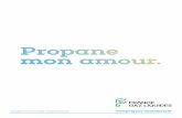 CFBP Leaflet A4 2020propane-monamour.fr/wp-content/themes/wm-child/documents/brochure.pdf · 4 1 Le propane : une énergie disponible et accessible En montagne, à la campagne ou