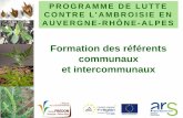 PROGRAMME DE LUTTE CONTRE L’AMBROISIE EN AUVERGNE …ambroisie.fredon-aura.fr/images/PDF/Formation_referents_2019_web… · en région Rhône-Alpes. Aujourd’hui on la trouve sur