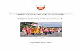 COMMUNE DE ROMANEL S/ LAUSANNE · 2016-10-21 · La vice-présidence a été assurée par MM. D. Favre jusqu’au 30 juin 2011 et D. Crot dès le 1er juillet 2011. 1.2. Demandes de
