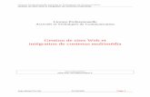 Gestion de sites Web et intégration de contenus multimédiajean-michel.pillon.pagesperso-orange.fr/memoires/Licence_Pro.pdf · techniques de communication, en gestion de sites Web