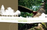 De l’arbre aux produits bois : valorisons la forêt bretonne · 2017-09-10 · La gestion, la certification, la commercialisation et la pérennisation de la ressource forestière