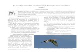 Enquête limicoles nicheurs en Marais breton …files.biolovision.net/...ou le Petit Gravelot, la Bécassine des marais ne peut faire l'objet d'une estimation par secteurs-échantillons.
