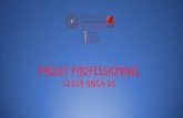 PROJET PROFESSIONNEL - Paul Sabatier Universityl2-eea-meca-gc.ups-tlse.fr/Licence/Semestre3/... · cohérent vis à vis de votre projet professionnel. • Le rapport au format PDF