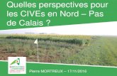 les CIVEs en Nord Pas de Calais · Quelles perspectives pour les CIVEs en Nord – Pas de Calais ? Pierre MORTREUX – 17/11/2016 •« Culture Intermédiaire à Vocation