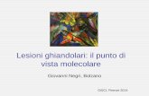 Giovanni Negri, Bolzano - GISCi...G.Negri AP Bolzano . BJC 2013 . Cancer, 2013 . Take-home message • La maggior parte delle neoplasie ghiandolari condivide la carcinogenesi HPV-indotta