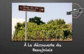 À La découverte du Beaujolais - Dernière minuteuia-caen.fr/.../2017-2018/Oenologie/Cours_Beaujolais_UIA.pdf · 2018-03-15 · …Et celle du Beaujolais Nouveau • En 1951, on