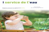 Commune Rapport annuel du délégataire 2016 de Cernay-les-Reims · Réalisation d’une étude pour vérifier le bon fonctionnement de l’alimentation électrique du site . 1 |
