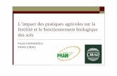 L'impact des pratiques agricoles sur la fertilité et le ... · Conférence/débat « Les pesticides et leurs effets sur les sols cultivés » 11 janvier 2008 Influence du climat