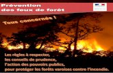 Pas de feu en forêt · Pas de feu en forêt En forêt, pas de feu, ne pas jeter de mégot ni de déchets. Ne pas circuler sur les pistes forestières non ouvertes à la circulation