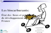 Les biocarburants - Freespesge.free.fr/la_spe_sge/projets/exposes/exposes_2007/...Les biocarburants issus de plantes saccharigènes et amylacées Source: IFP Propriétés: Indice octane
