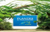 PLANTES - Aquafleur catalogus... · 2020-03-17 · Pour les utilisateurs de plantes expérimentés, ces plantes ont besoin d’un niveau d’éclairage approprié, d’une bonne qualité