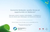 Economie biobasée: quelles forces et opportunités en Wallonie?valbiom.be/files/library/Even-Vignettes/12RB/... · Agro-alimentaire, Construction, ... – Promotion de l’économie