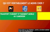 QUI EST VERITABLEMENT LE MOINS CHER · 2019-01-15 · Au Cameroun depuis septembre 2011, Le mobile money est un instrument moderne de transfert rapide d’argent par le biais du téléphone